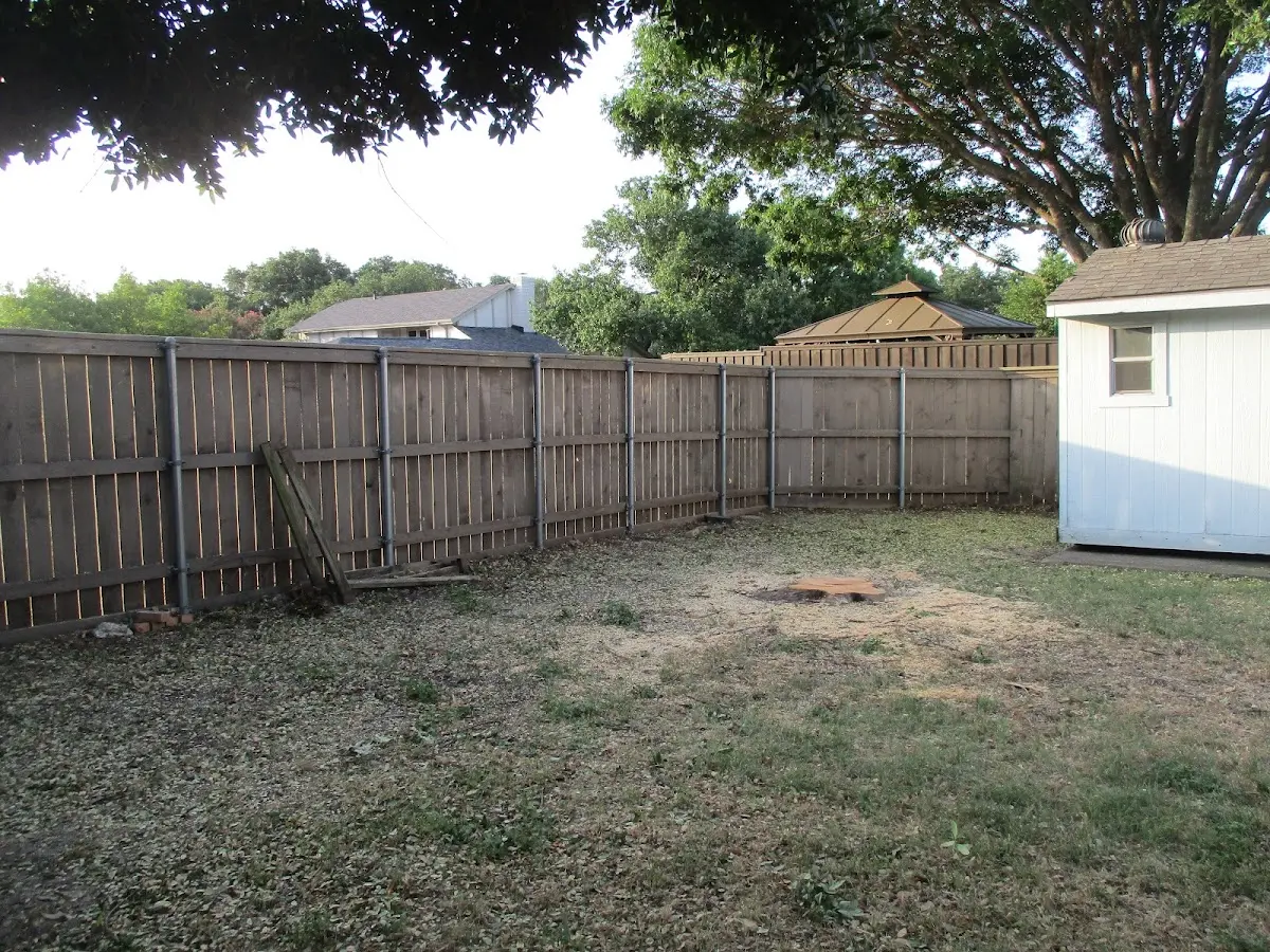 Cleared yard after professional tree removal in Covington